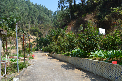 虎门山泉水厂家