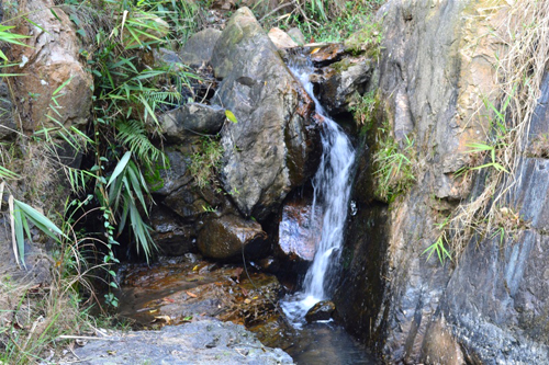 大岭山纯净水